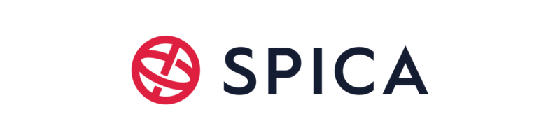 Špica